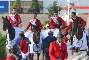 soin dentisterie cheval