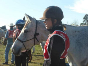 soin dentisterie cheval