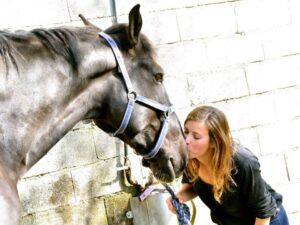 soin dentisterie cheval
